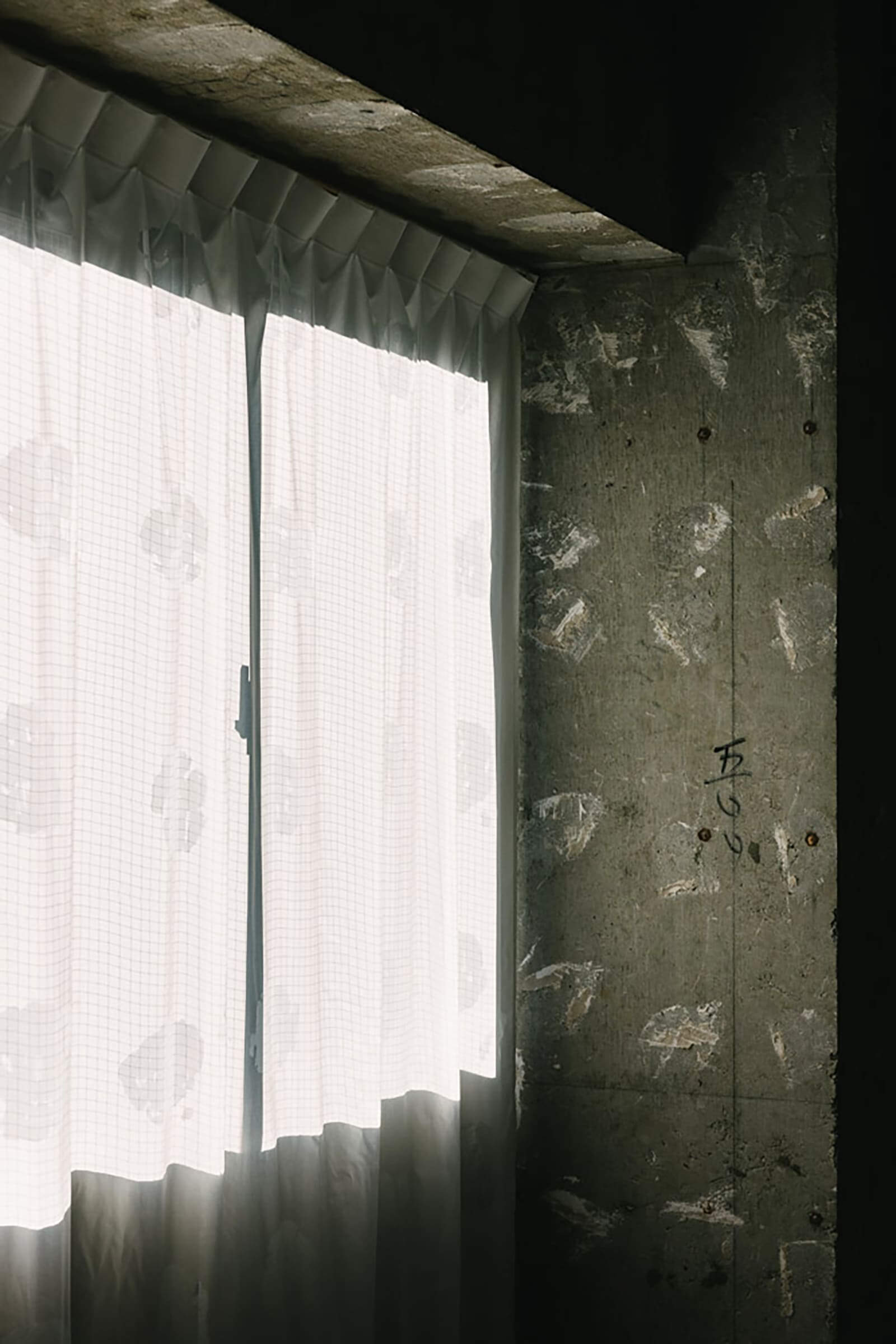 CELL — photo 3