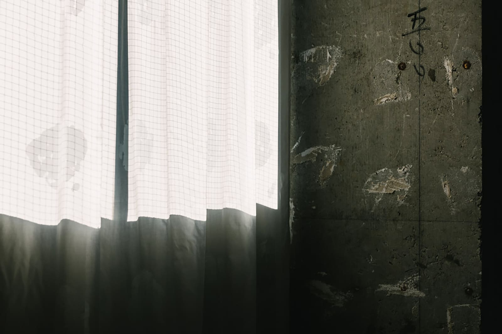 CELL — photo 4