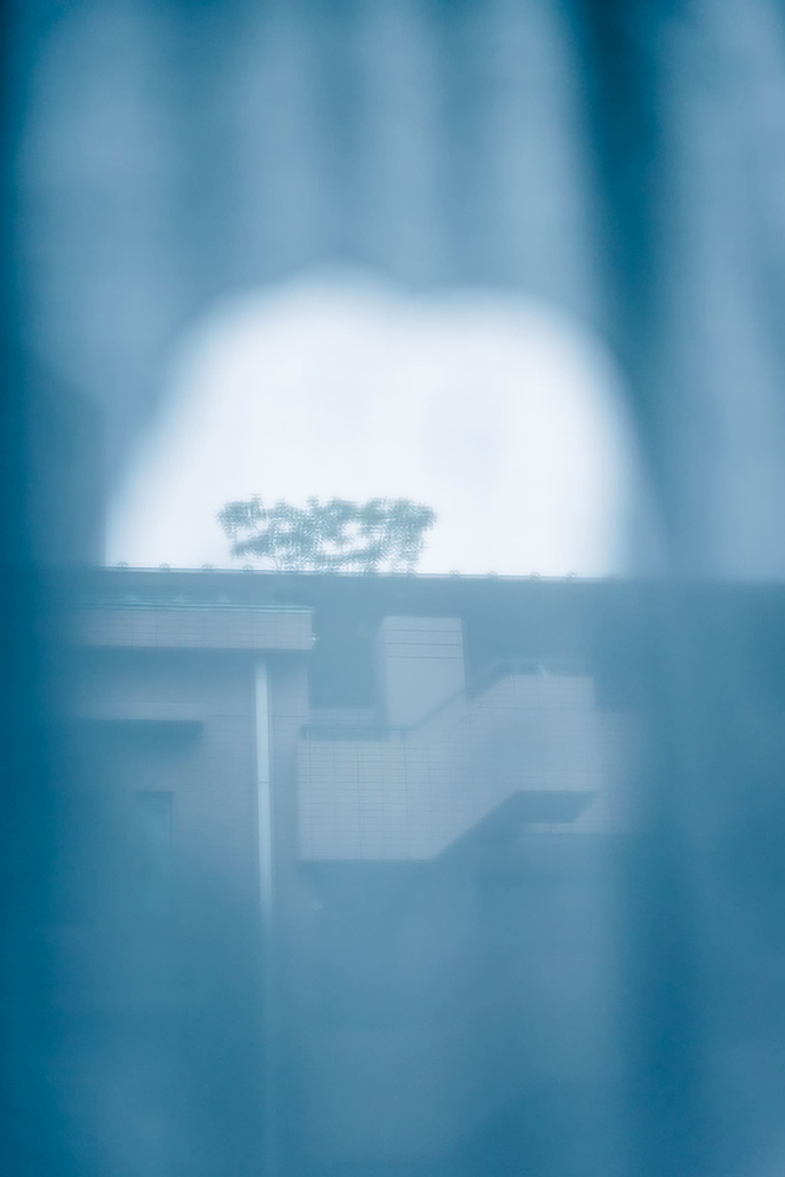 CELL — photo 11